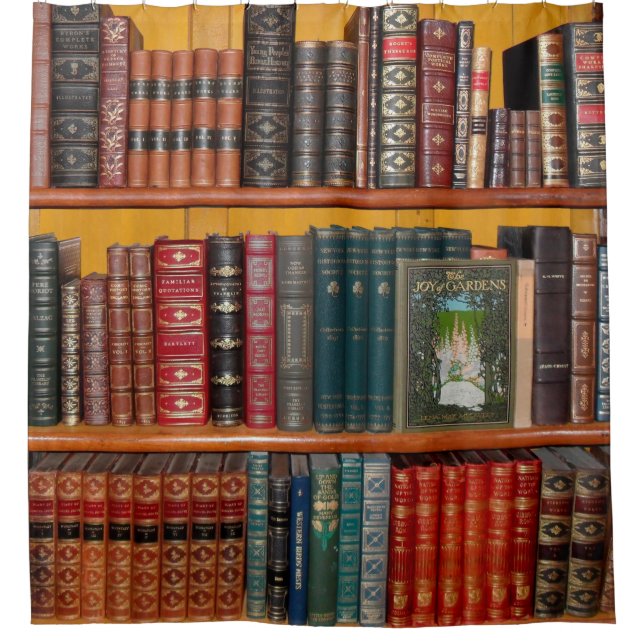 books library bookshelf bookshop (Front)