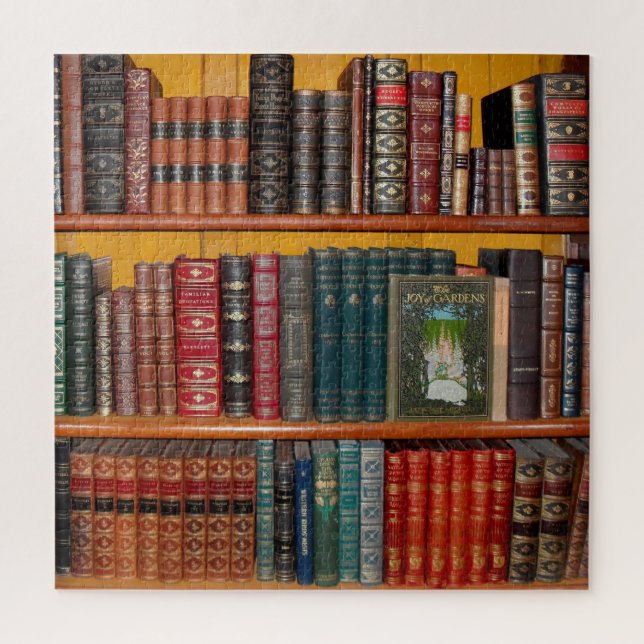 books library bookshelf bookshop jigsaw puzzle (Vertical)