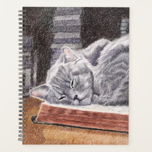 Bookstore Cat Planner