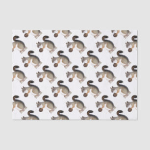 Boomer Squirrel Tissue Paper