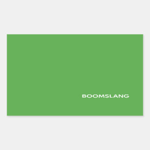 Boomslang green colour name sticker