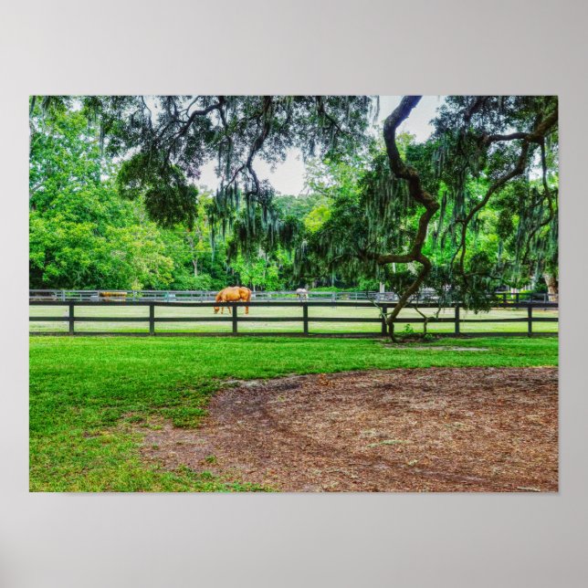 Boone Hall Stables Poster (Front)