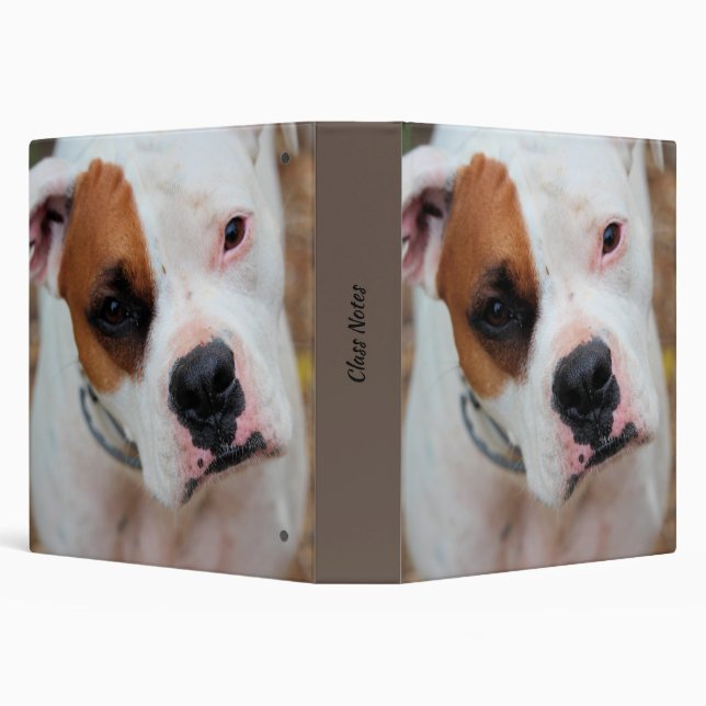 Boop Binder (Background)