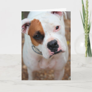Boop Card