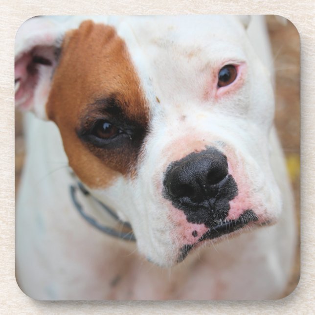 Boop  coaster (Front)