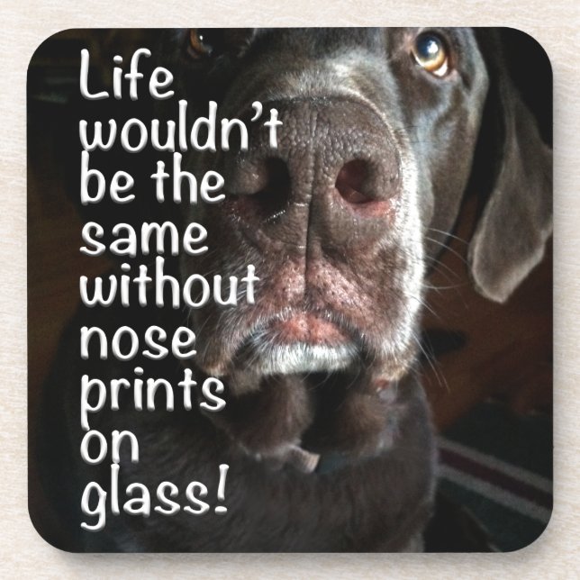 Boop My Nose Chocolate Lab Close-Up Photograph Coaster (Front)