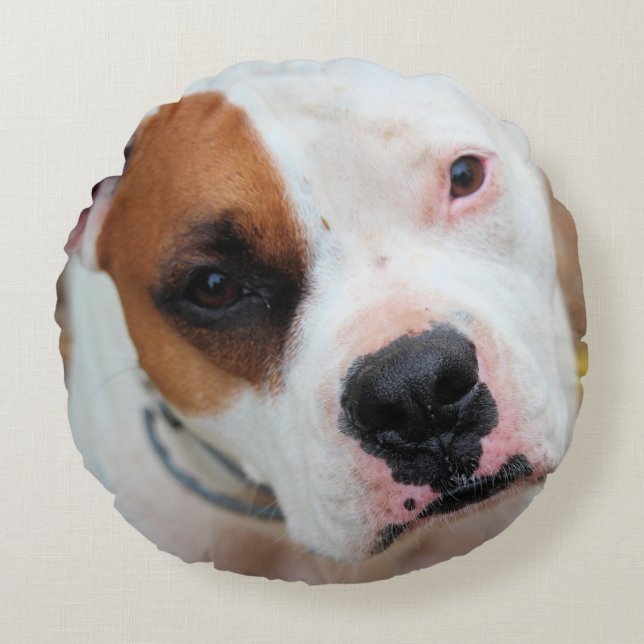Boop  round pillow (Front)