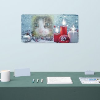 Boo's Christmas 2' x 1' Indoor Banner
