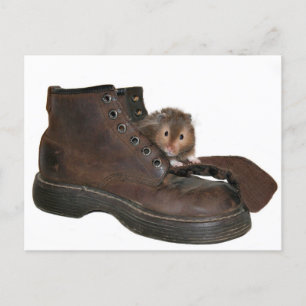 Boot pet postcard
