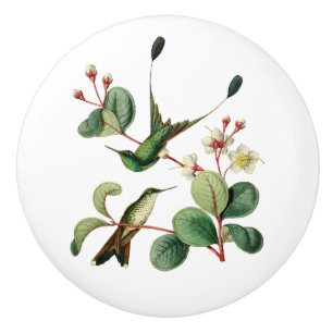 Booted Racket Tail Hummingbird Ceramic Knob