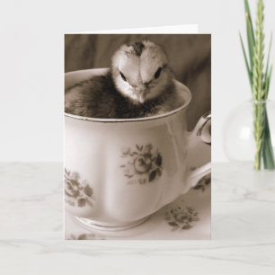 Boots In A Tea Cup Holiday Card