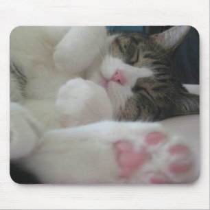 Bootsie cat mouse pad