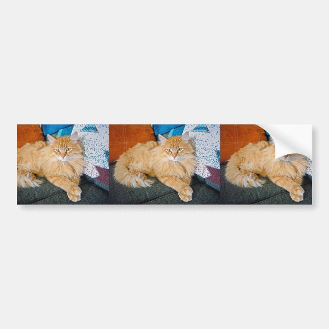 Boppy Bumper Sticker (Front)
