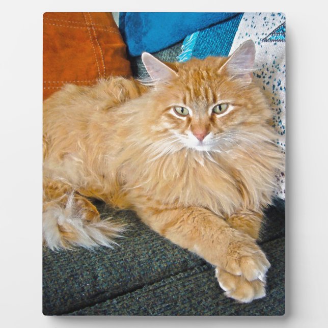 Boppy Plaque (Front)