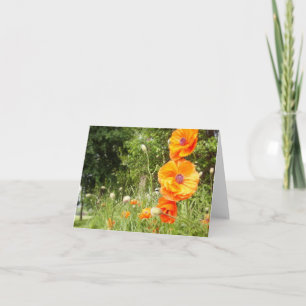Boppy Poppies / Note Card