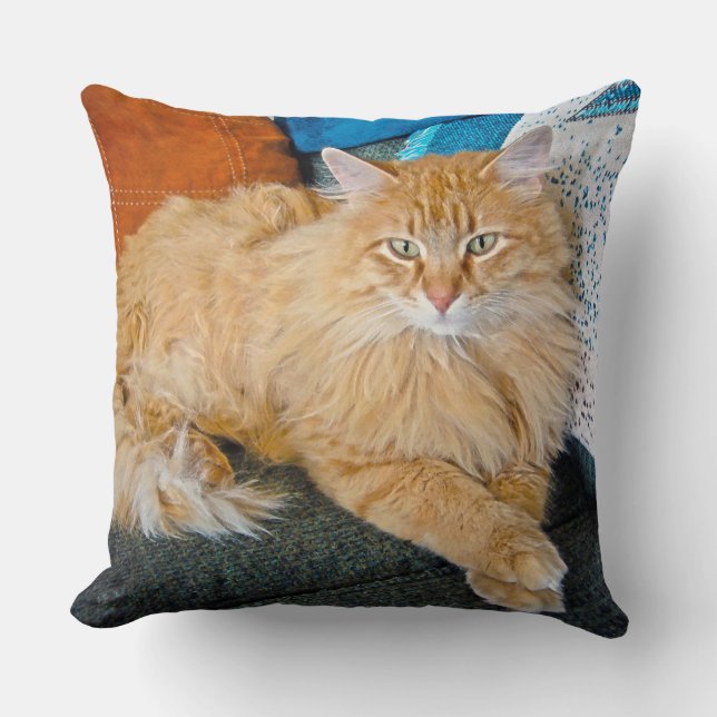Boppy Throw Pillow (Front)