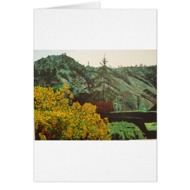 Boquete, Panama#3 Peinture (Devant)