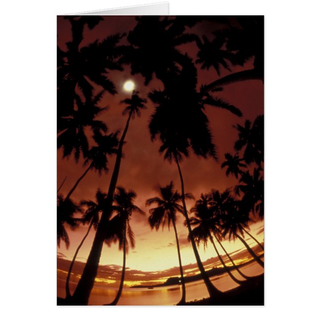 Bora Bora, French Polynesia Sunset shot through (Front)