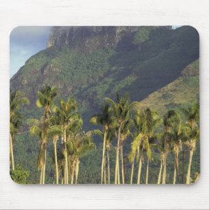 Bora Bora, French Polynesia Waterfront scene and Mouse Pad