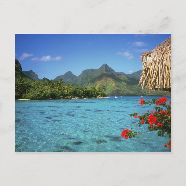 Bora Bora Island, French Polynesia Postcard (Front)