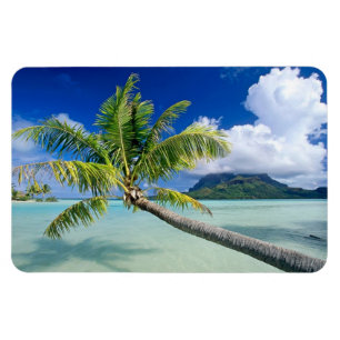 Bora Bora Magnet