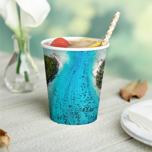 Bora Bora - Pathway To The Ocean Paper Cups (Insitu)