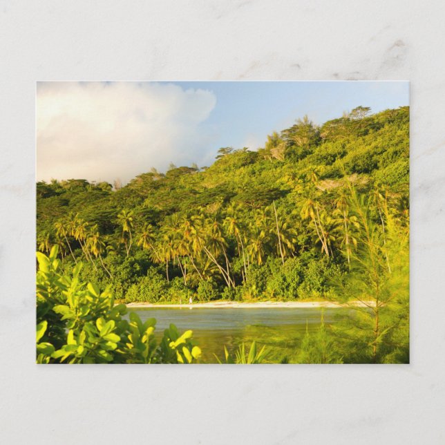 Bora Bora, Society Islands, French Polynesia. Postcard (Front)