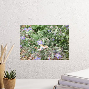 Borage Fairy Foil Prints