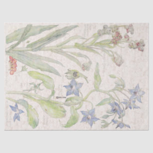 Borage Wildflower Flowers Tissue Paper
