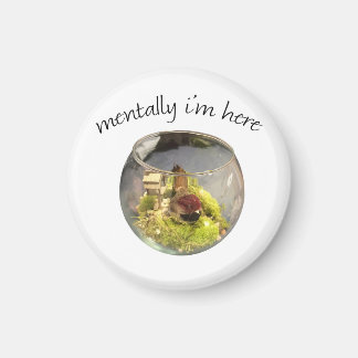 borb planetarium magnet