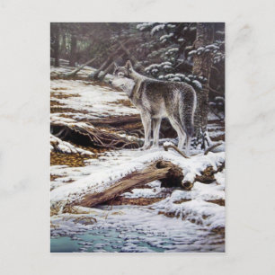 Bord des cartes postales de nuit