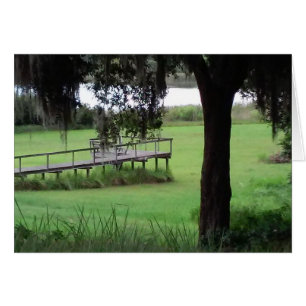 Bord sec vue lac
