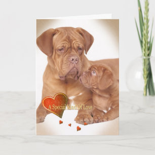 BORDEAUX A SPECIAL KIND OF LOVE HOLIDAY CARD