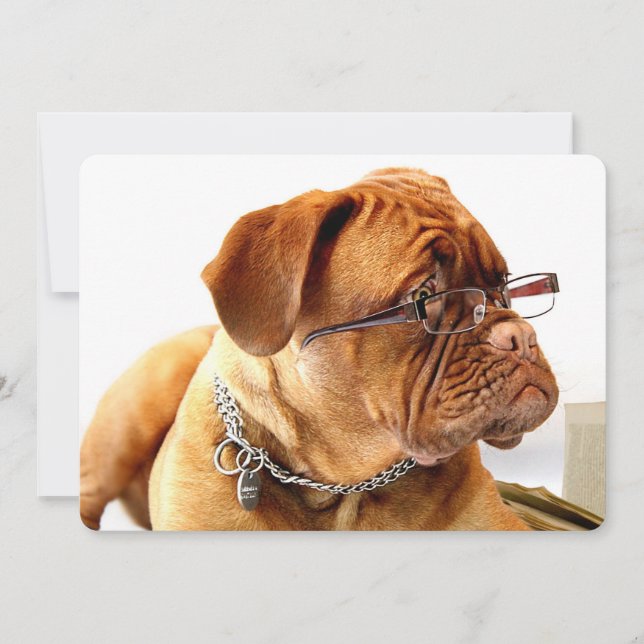 Bordeaux Mastiff, French Mastiff Bordeauxdog Gift (Front)