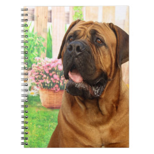 Bordeaux Mastiff Notebook