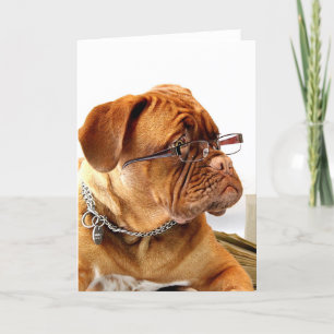 Bordeauxdog Holiday Card