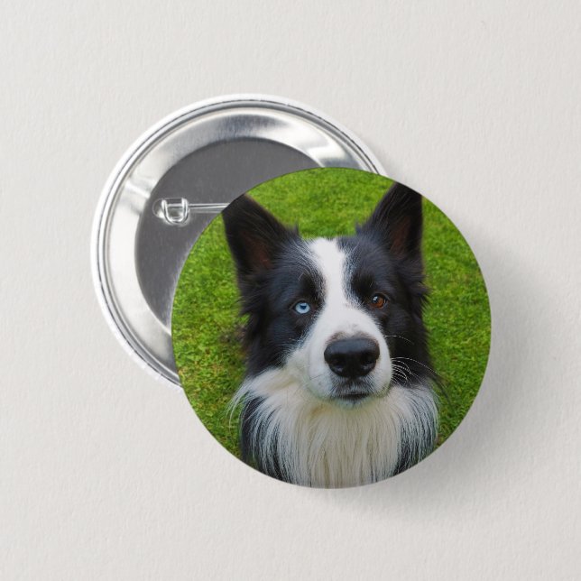 Border Collie 2 Inch Round Button (Front & Back)