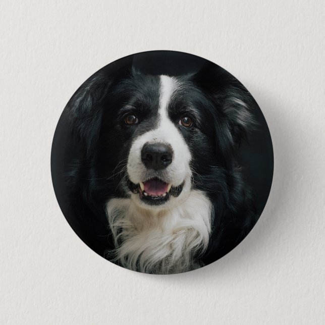 border-collie 2 inch round button (Front)