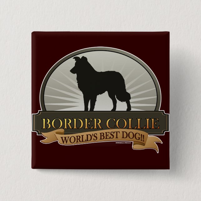 Border Collie 2 Inch Square Button (Front)