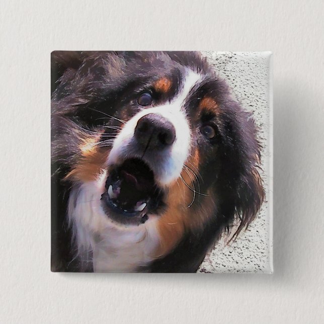 BORDER COLLIE 2 INCH SQUARE BUTTON (Front)