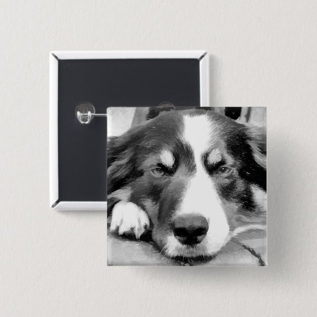 BORDER COLLIE 2 INCH SQUARE BUTTON (Front & Back)