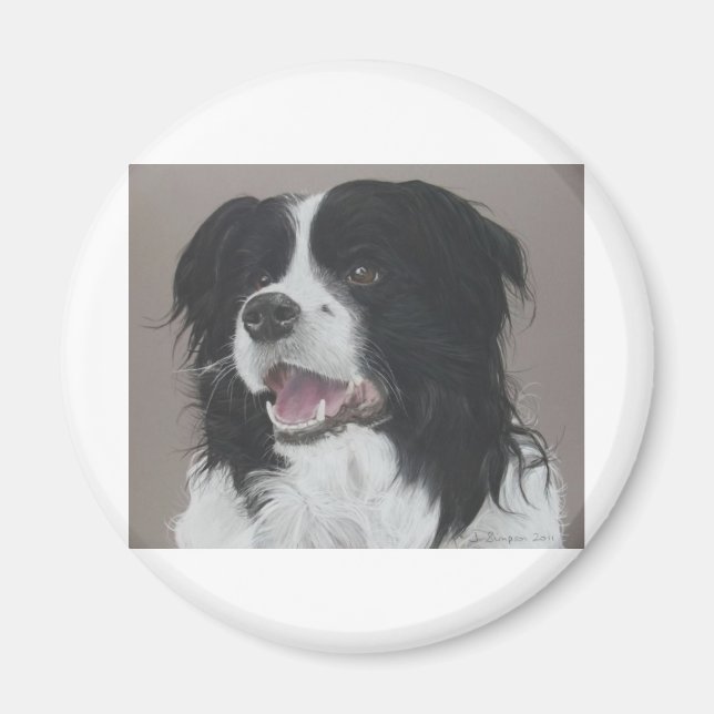Border Collie 3 Magnet (Front)