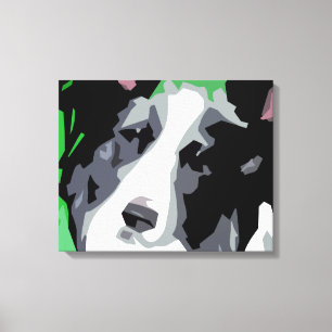 Border collie a enveloppé des copies de toile