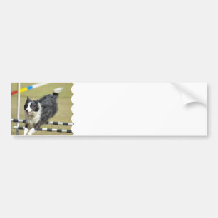 Border Collie Agility Bumper Sticker