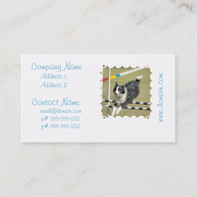 Border Collie Agility Business Cards (Front)
