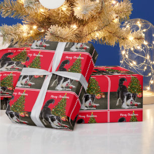 Border Collie and Christmas Tree  Wrapping Paper