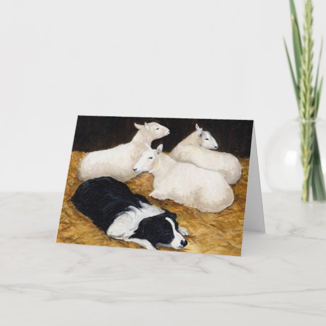 "Border Collie and Sheep" Dog Art Greeting Card (Front)