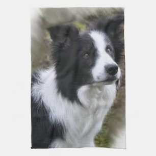Border Collie Art Kitchen Towel