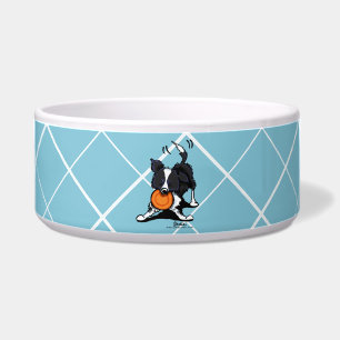 Border Collie at Play