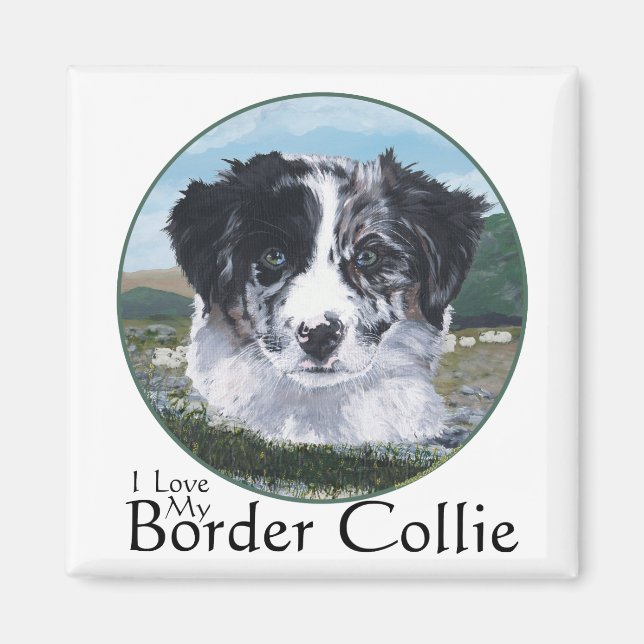 Border Collie at Work Magnet (Front)